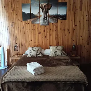  Hostal Tenerife Dreams Coffee&bed